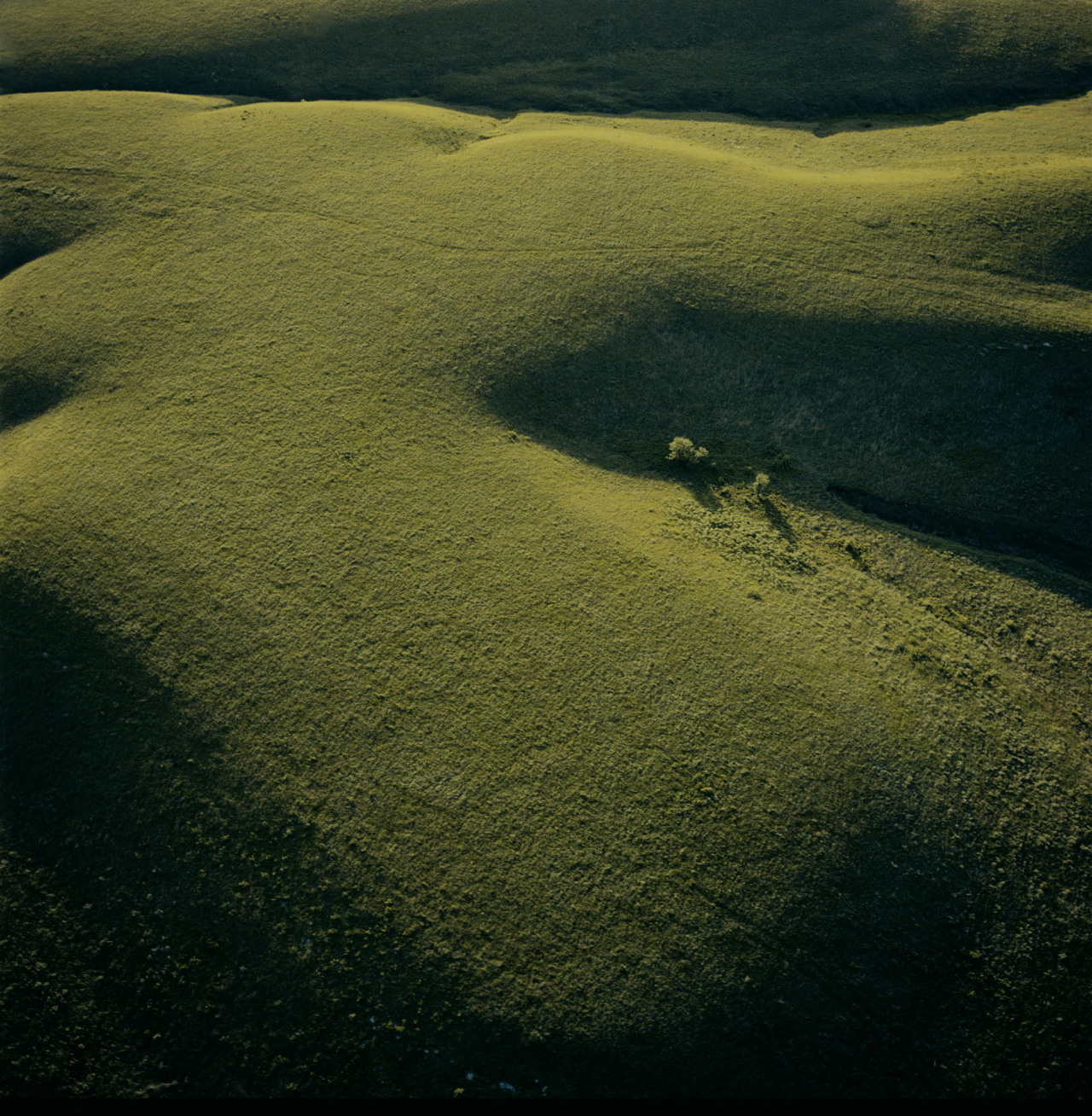 hills
